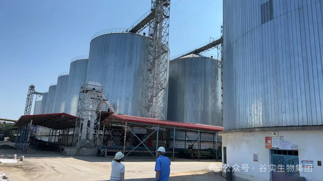 築基礎抓落實 提升個人技(jì )能(néng)